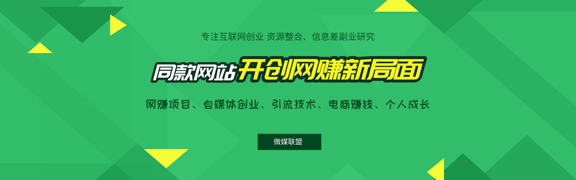 搭建同款资源网站，日入2000+网赚项目-副业赚钱-互联网创业-资源整合财智网赚